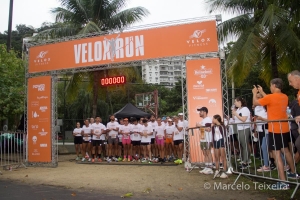 Velox Run 2024