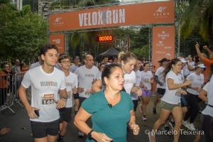 Velox Run 2024